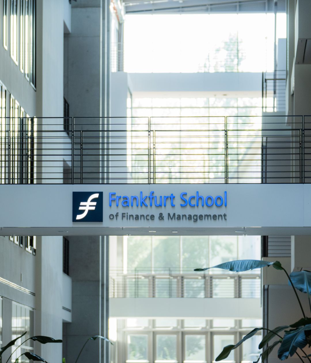 Financial Times EMBA Ranking 2026: Frankfurt School enters the global ...
